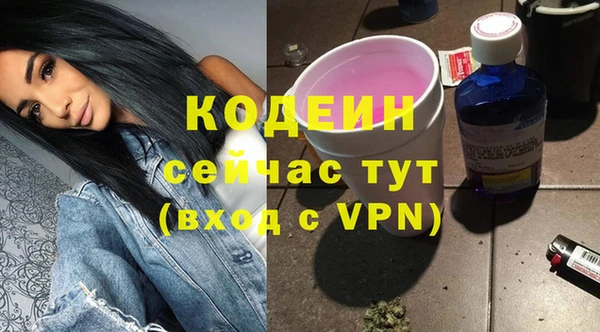 метадон Каменка