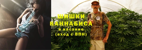 метадон Каменка