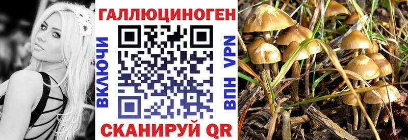 Псилоцибиновые грибы мицелий  OMG ССЫЛКА  Киселёвск 